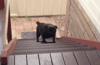 Wasted Effort | Nerd Fitness