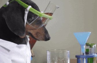 This is a Test (Year)