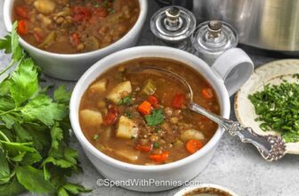Slow Cooker Lentil Soup